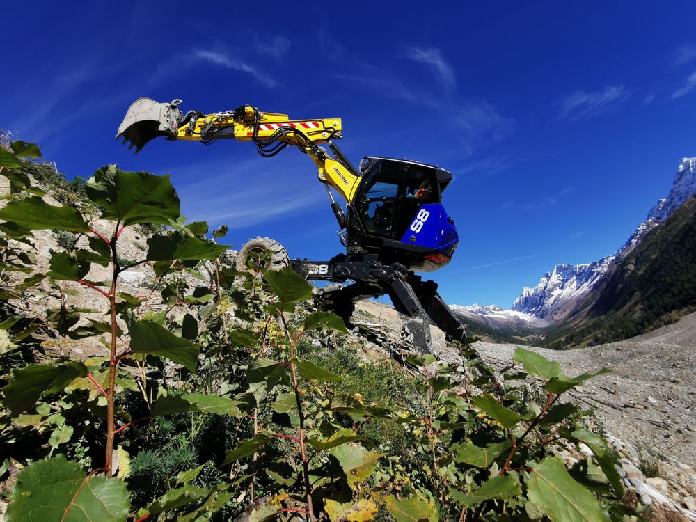 Fotos zum Schreitbaggerarbeiten